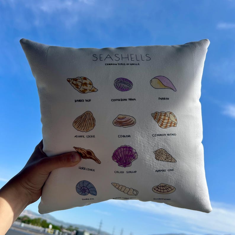 May include: A white square pillow with a print of various seashells, labeled with their common names. The text "SEASHELLS" is at the top, with "COMMON TYPES OF SHELLS" below it. The pillow is held up against a blue sky.