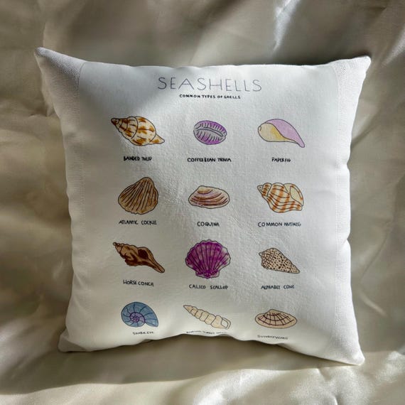 Coastal Seashell Pillow | Beach House Decor Pillow | Nautical Throw Pillow | Handmade Seashell Chart Accent Pillow | 12″ x 12″ – Gift