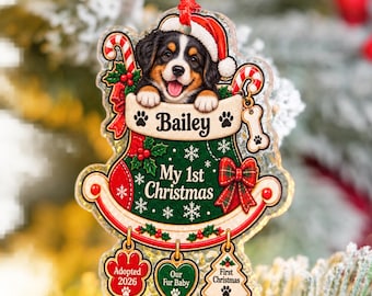 Personalized Pet Christmas Ornament, Custom Pet Name Ornament, Dog Cat Lover Gift 2026
