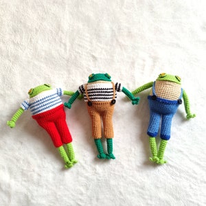 Crochet frog with removeable cloth, graduation gift, stuffed frog and toad, mini frog, crochet doll, crochet gift for boys, gift for friend