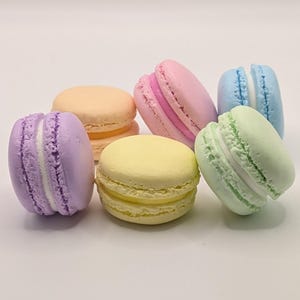 Fake Macarons - Pastel (6)
