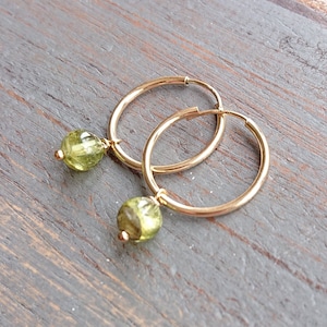 6mm Peridot 14K Gold Filled Hoop Earrings, August Birthstone Gift, Gemstone Jewellery, Natural Green Stone Earrings, Only Lola Jewellery