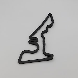 Circuit of the Americas met hoogteverschil