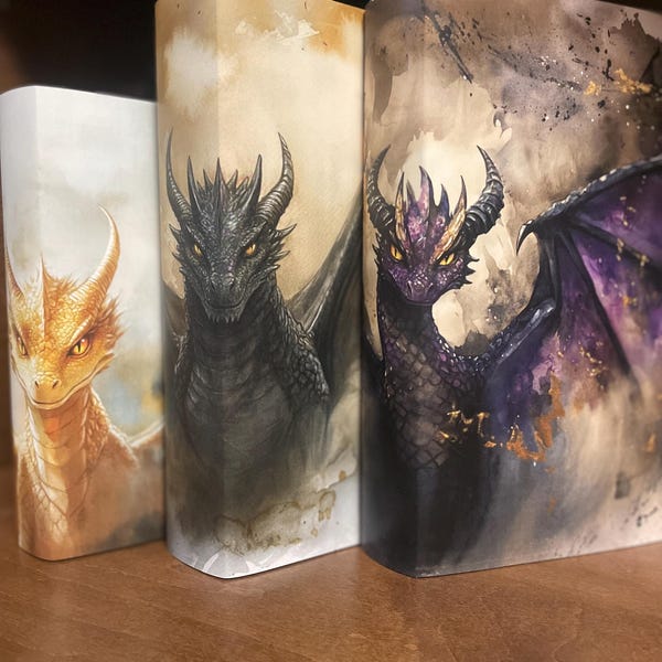 Custom Empyrean Series Inspired Book Sleeves & Dust Jackets - Dragons - Fourth Wing - Iron Flame - Onyx Storm - READ DESCRIPTION