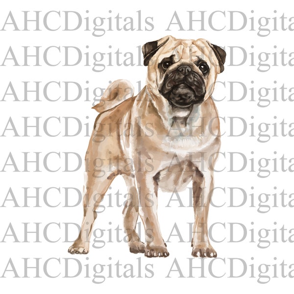 Fawn pug Sublimation Image, Cute Pug Watercolor Image, tan pug Digital Download, dog png, cute dog digital download, dog owner gifts