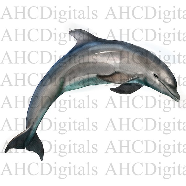 Dolphin Sublimation Image, Watercolor Dolphin Image, Dolphin clipart, blue Dolphin Artwork, Digital Download, whale png