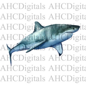 Shark Sublimation Image, Watercolor Shark Image, Shark clipart, blue Shark Artwork, Digital Download, Shark png, ocean artwork clipart