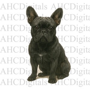 Französische Bulldogge Sublimationsbild, Französische Bulldogge Aquarellbild, schwarze Bulldogge Digital Download, Hund PNG, süßer Hund digitaler Download,