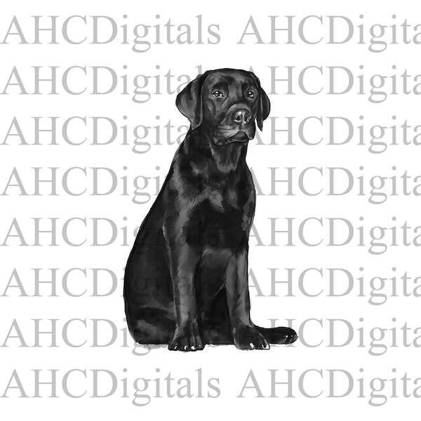 Black Lab Sublimation Image, Black Lab Watercolor Image, Labrador Digital Download, dog png, cute dog digital download, black lab svg