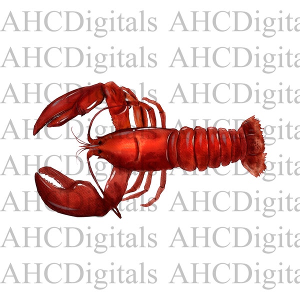 Lobster Sublimation Image, Watercolor Lobster Image, Lobster clipart, cute Turtle Artwork, Digital Download, red lobster png maine