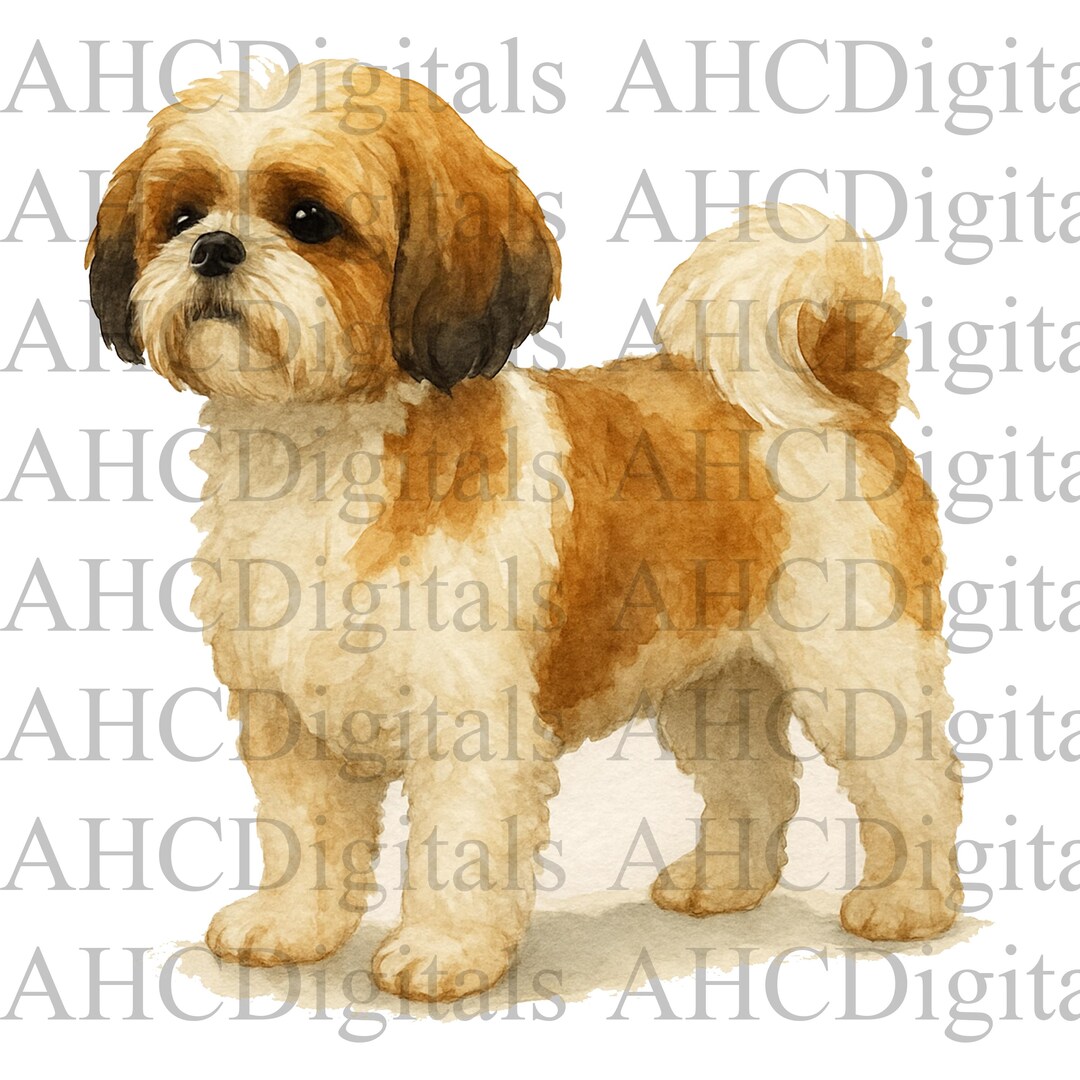 Shih Tzu Sublimation Image, Watercolor Shih Tzu PNG, Cute Dog Digital ...