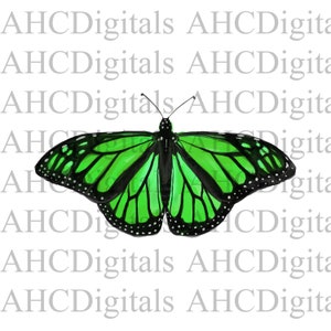 Schmetterling Sublimation Bild, Aquarell Grün Schmetterling Bild, Monarch Schmetterling Clipart, Motten Kunstwerk, Digitaler Download
