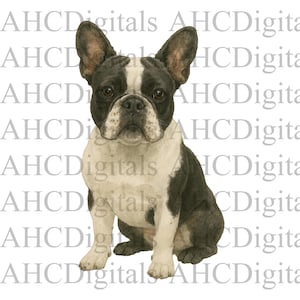 Französische Bulldogge Sublimationsbild, Französische Bulldogge Aquarellbild, schwarze Bulldogge Digital Download, Hund PNG, süßer Hund digitaler Download,