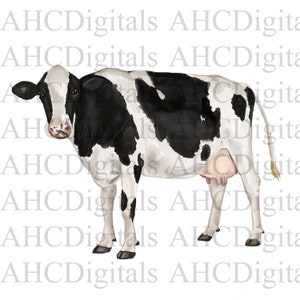 Cow Sublimation Image, Watercolor Animal, Farm Animal Artwork, Digital Download, Cow drawing, Calf Digital Art, Cute Cow Image, Commerical