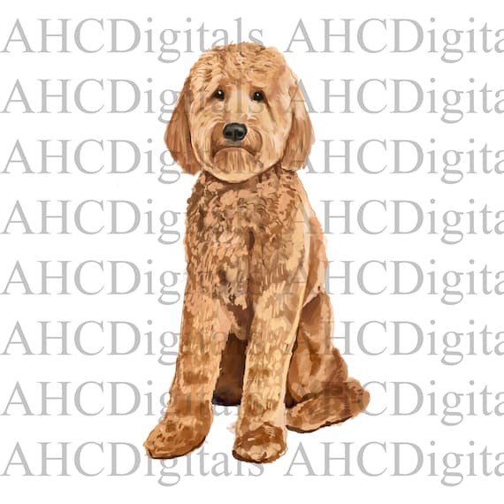 Golden Doodle Sublimation Image, Golden Doodle Watercolor Image