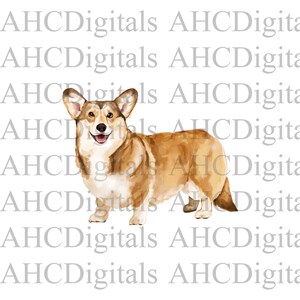 Corgis Sublimation Bild, Tan Corgis Aquarell Bild, Süßer Lächelnder Corgis Digitaler Download, Hund png, süßer Hund digitaler Download,