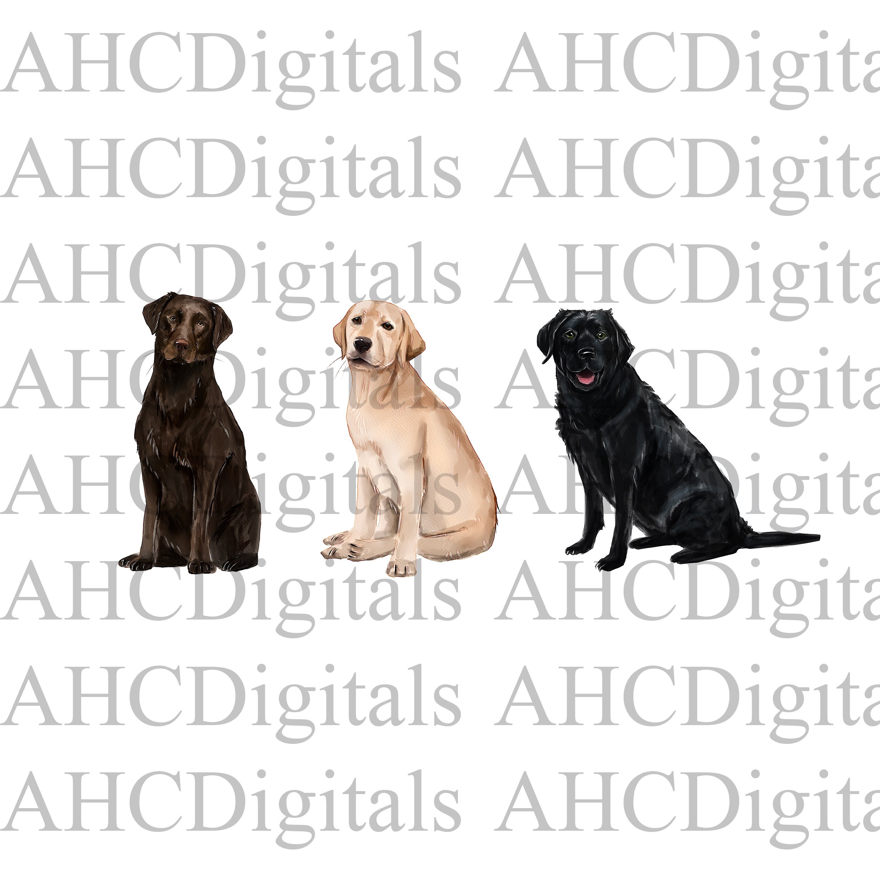 Black Lab Sublimation Image, Brown Yellow Black Lab Combination