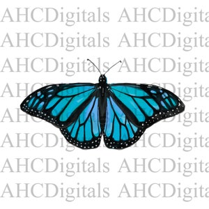 Schmetterling Sublimation Bild, Aquarell Blau Schmetterling Bild, Monarch Schmetterling Clipart, Motten Kunstwerk, Digitaler Download