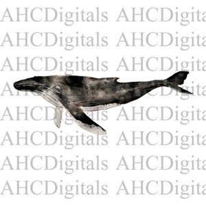 Wal Sublimation Bild, Aquarell Wal Bild, Wal Clipart, Blauwal Kunstwerk, Digitaler Download, Delfin png, Ozean Bild