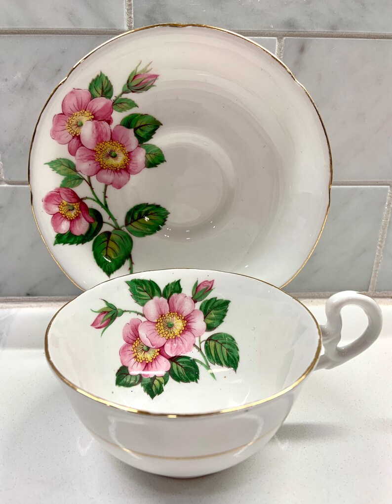 Vintage Royal Grafton Fine Bone China Tea Cup and Saucer Made in England Wild Roses Etsy