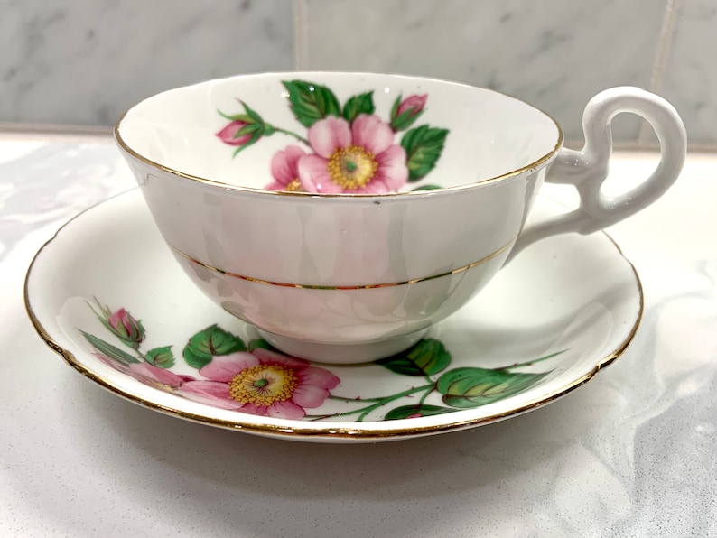 Vintage Royal Grafton Fine Bone China Tea Cup and Saucer Made in England Wild Roses Etsy