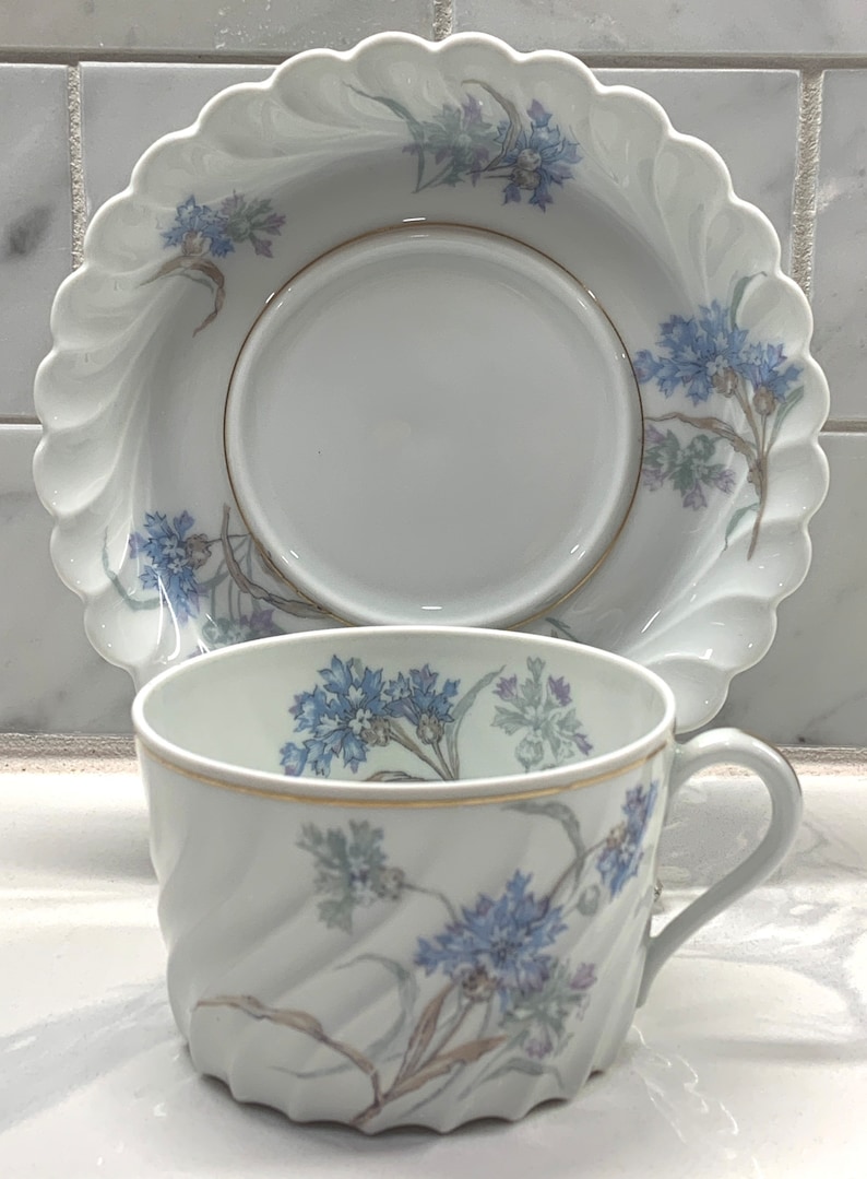 Haviland Limoges Bergere Blue Flowers Bone China Flat Tea Cup Etsy