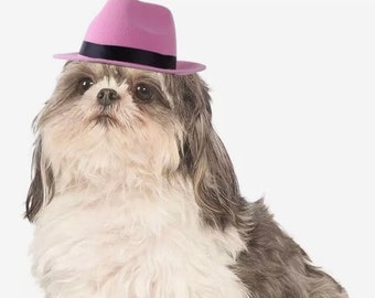 Small Dog Fedora Hats Pink/Black