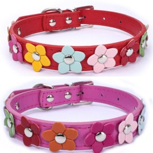 Pet Collar Flowers