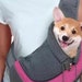 see more listings in the Puppy Carriers section