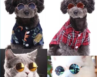 Small Dog Black Film Sunglasses