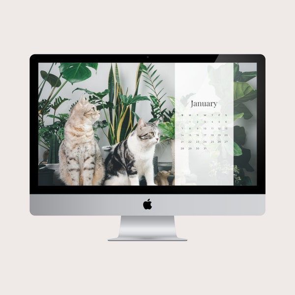 2024 Plant Cats Monthly Desktop Calendar Wallpaper, Plants Computer Wallpaper, Cute Cat Screen Background, 2024 Digital Download