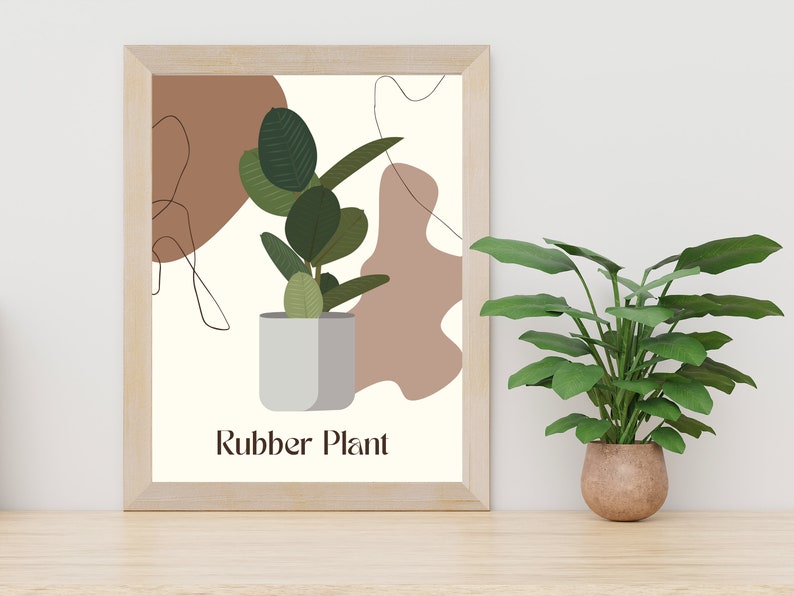 DIGITAL DOWNLOAD Rubber Plant Minimalist Art Bedroom Plant Decor Home Wall Art Print & Dorm Decor