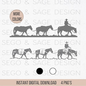 mulas, cavalos de carga, mochila, mulas, interior, montanha, caça, região selvagem, guiando cavalos, cavaleiros, trilha, acampamento, vaqueiro, vaqueira