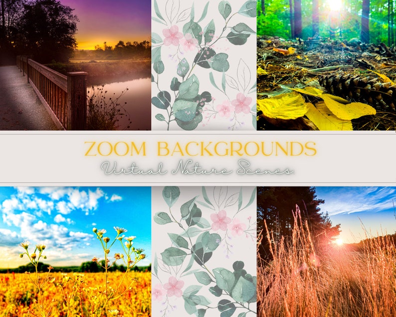 Nature Scenes Zoom Backgrounds Photography Photo Etsy