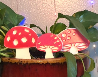 Pilz-/Fliegenpilz-Einsatz für Zimmerpflanzen/ Zimmerpflanzen