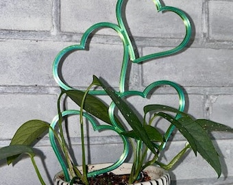 May include: A green heart-shaped wire plant trellis in a white ceramic planter with a painted face and blue stripes. The plant is a leafy green vine.