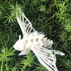 Gelenk 3D gedruckte Knochen Motte Figur - Posable Insekt Modell
