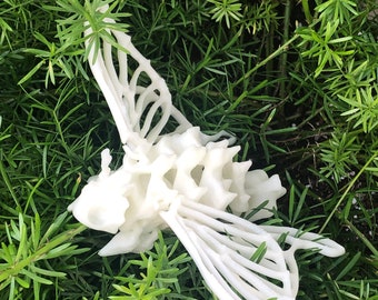 May include: A white plastic 3D printed model of a bee with detailed wings and body.