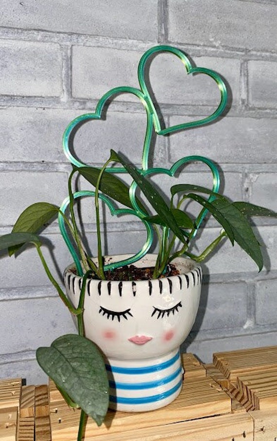 2 Stück Herz-Pflanzengitter Aus Eisen | 31,5x23cm | Schwarz | Mit 100 Pflanzenclips