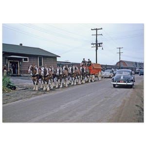 Impresión fotográfica de Tampa, Florida, década de 1950, línea de la Costa Atlántica, agencia de transporte ferroviario, Clydesdales de Budweiser, póster decorativo americano para pared, regalo