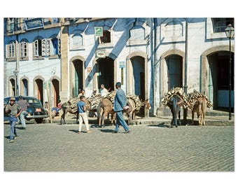 Photo Print 1960s Ouro Preto Brazil – Firewood Donkeys Cobblestone Street, Historic Sixties Minas Gerais Street Life Wall Art Decor Poster