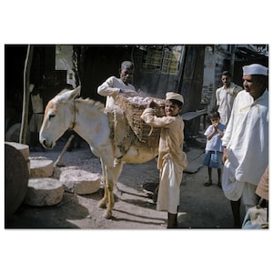 Photo Print 1960s Calcutta India Boy and a Donkey, Vintage Kolkata Wall Art Poster Home Office Decor West Bengal Sixties Heritage Gift Idea