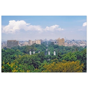 May include: A cityscape featuring a wide avenue lined with trees, leading towards a distant skyline. The foreground is dominated by dense green foliage, with buildings of different heights under a partly cloudy sky. A blend of nature and urban life.