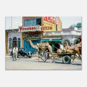 キャンバスプリント 1960年 インド ジャイプール通り ラクダの荷馬車とオースティン8セダン、CEAT ファイアストン ダンロップ グッドイヤー タイヤショップ ギフト すぐに飾れます