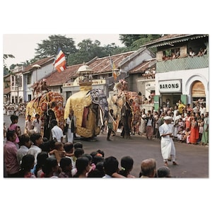 Puede incluir: Una procesión colorida en Sri Lanka con dos elefantes decorados, uno en oro y otro en rojo y oro, caminando por una calle llena de gente. Los elefantes están adornados con cubiertas ornamentadas y tienen jinetes en sus lomos. La multitud observa la procesión, algunos con cámaras.
