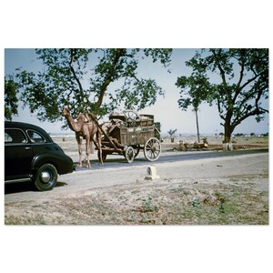 写真プリント 1940 年代のイギリス領インド - ラクダの荷車のある北インドのハイウェイ、ヴィンテージ ウォール アート ホーム オフィス デコレーション ポスター ユニークなギフト アイデア
