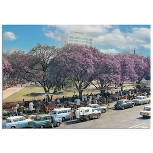 Escena callejera de los años 70 con árboles de jacarandá y vendedores de flores. Fotografía de Salisbury, Rhodesia (Harare, Zimbabue). Póster de arte de pared vintage. Regalo.