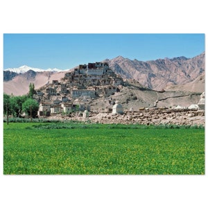 Photo Print 1970 India Thiksey Monastery, Mustard Field Leh Ladakh Vintage Wall Art Home Office Decor Poster Himalayan Seventies Travel Gift