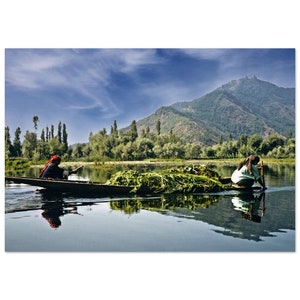 Photo Print 1960s Kashmiri Farming Boat Women on a Lake, Kashmir Life, India, Vintage Wall Art Retro Poster, Sixties Hippie Trail Nostalgia