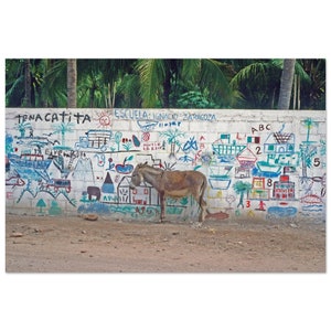 Impresión fotográfica de la década de 1970 Calle México, burro y pared con graffiti infantil Tenacatita, arte de pared vintage decoración de la oficina en el hogar cartel idea de regalo étnico